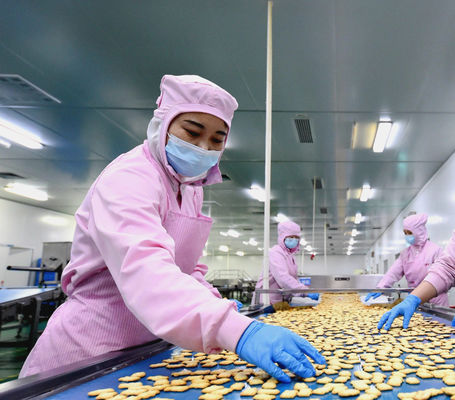 Преимущества использования модульных панельных систем для чистых помещений