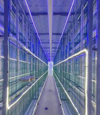 Контейнерная ферма для грибов с низким содержанием с дистанционным мониторингом и стандартным контейнером 20 или 40 футов